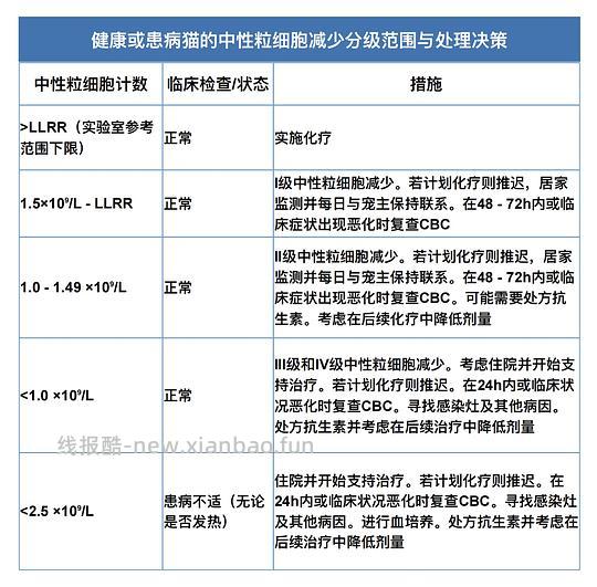 【科普】猫淋巴瘤概述（2） - 线报酷
