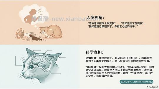 讨论/【科普】拟人化投射和科学指南 - 线报酷