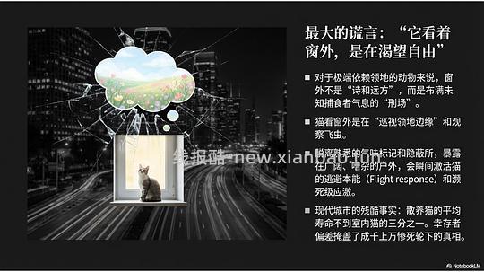 讨论/【科普】拟人化投射和科学指南 - 线报酷