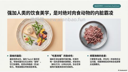 讨论/【科普】拟人化投射和科学指南 - 线报酷
