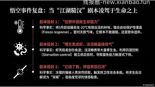 讨论/【科普】拟人化投射和科学指南 - 线报酷