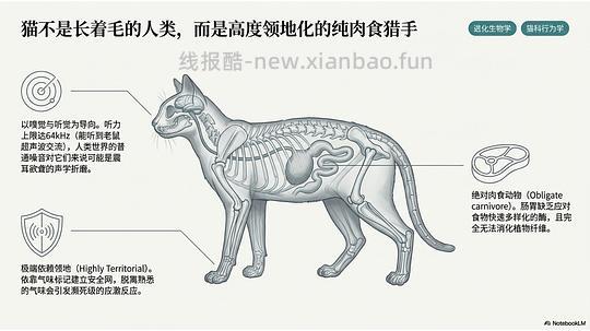 讨论/【科普】拟人化投射和科学指南 - 线报酷