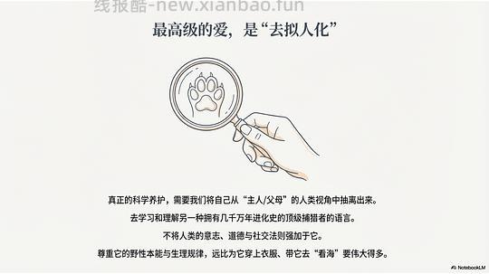 讨论/【科普】拟人化投射和科学指南 - 线报酷