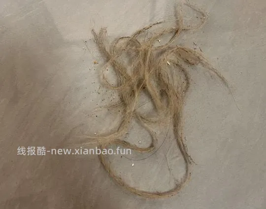 很好用的便宜魔术扫把！ - 线报酷
