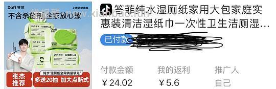 答菲湿厕纸5包 100抽 6.4r - 线报酷