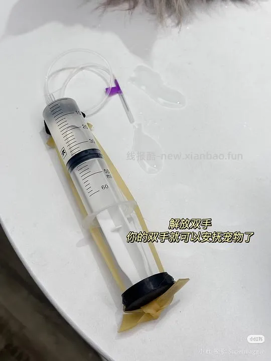 讨论/【科普】记录心肾综合征猫咪用药 - 线报酷