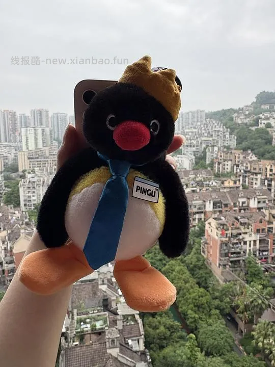 刷券，pingu趴趴卷玩偶（pingu的巧克力工厂） - 线报酷