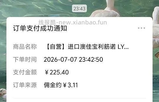 利筋诺206左右 - 线报酷