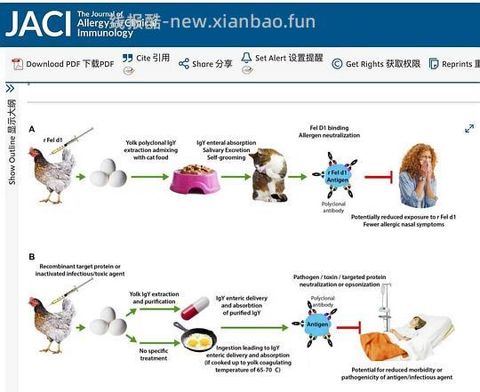 【科普】关于猫毛过敏患者养猫的必备措施及脱敏办法（附医院清单🏥 - 线报酷