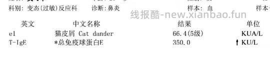 【科普】关于猫毛过敏患者养猫的必备措施及脱敏办法（附医院清单🏥 - 线报酷