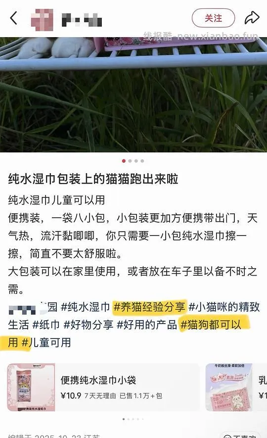 讨论｜【科普】市面上的湿巾对猫有较大风险，母婴纯水湿巾≠只有水≠宠物友好，其中的丙二醇会造成溶血性贫血 - 线报酷