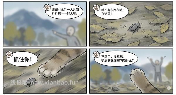 讨论/【科普】猫眼里看到的世界和猫并不想看的世界💁🏻请停止幻想，猫不需要这些 - 线报酷