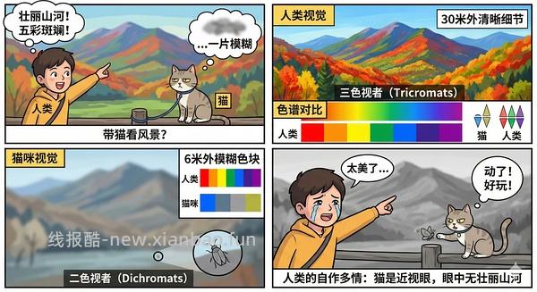 讨论/【科普】猫眼里看到的世界和猫并不想看的世界💁🏻请停止幻想，猫不需要这些 - 线报酷