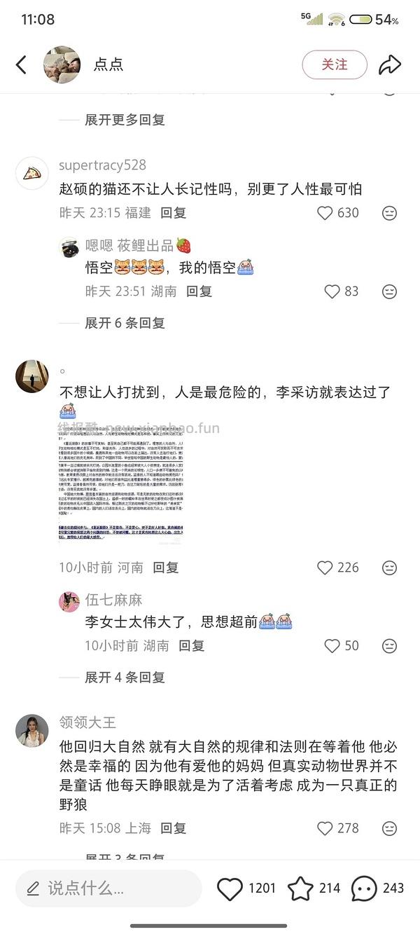 讨论/【科普】猫眼里看到的世界和猫并不想看的世界💁🏻请停止幻想，猫不需要这些 - 线报酷