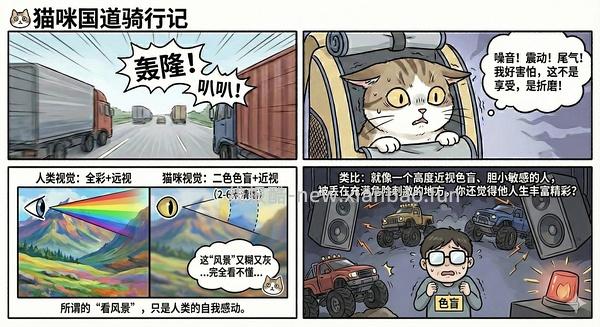讨论/【科普】猫眼里看到的世界和猫并不想看的世界💁🏻请停止幻想，猫不需要这些 - 线报酷