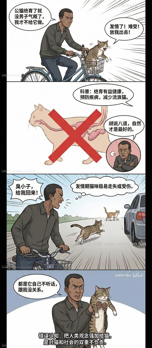 讨论/【科普】养猫科普漫画，不定期更新中（2.10 更新封窗、新手养猫误区科普） - 线报酷