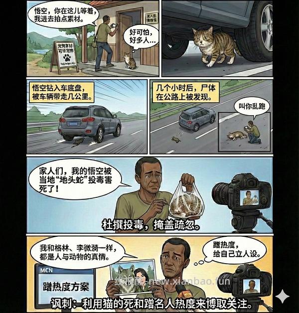 讨论/【科普】猫眼里看到的世界和猫并不想看的世界💁🏻请停止幻想，猫不需要这些 - 线报酷