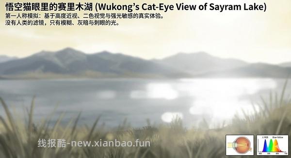 讨论/【科普】猫眼里看到的世界和猫并不想看的世界💁🏻请停止幻想，猫不需要这些 - 线报酷