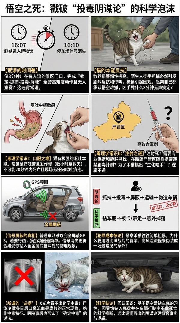 讨论/【科普】猫眼里看到的世界和猫并不想看的世界💁🏻请停止幻想，猫不需要这些 - 线报酷