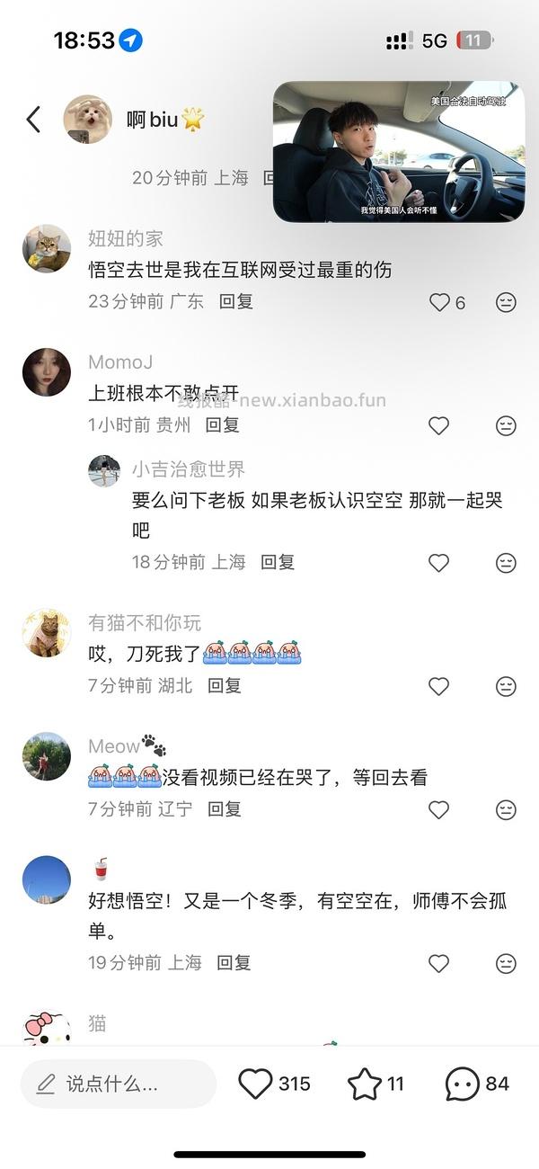 讨论/【科普】猫眼里看到的世界和猫并不想看的世界💁🏻请停止幻想，猫不需要这些 - 线报酷