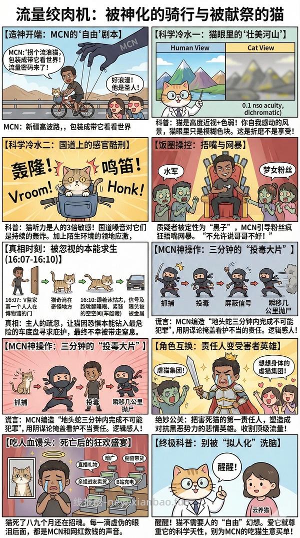 讨论/【科普】猫眼里看到的世界和猫并不想看的世界💁🏻请停止幻想，猫不需要这些 - 线报酷