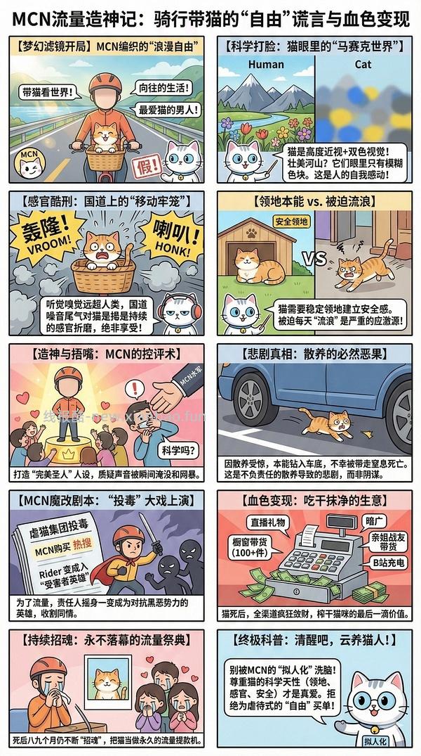 讨论/【科普】猫眼里看到的世界和猫并不想看的世界💁🏻请停止幻想，猫不需要这些 - 线报酷
