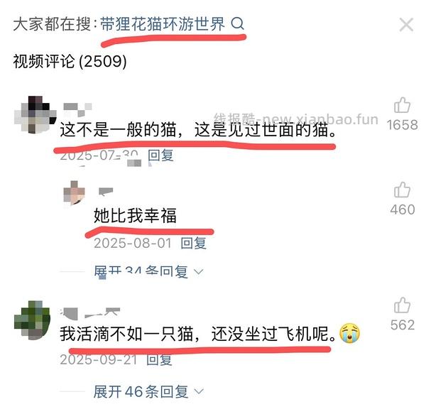 讨论/【科普】猫眼里看到的世界和猫并不想看的世界💁🏻请停止幻想，猫不需要这些 - 线报酷