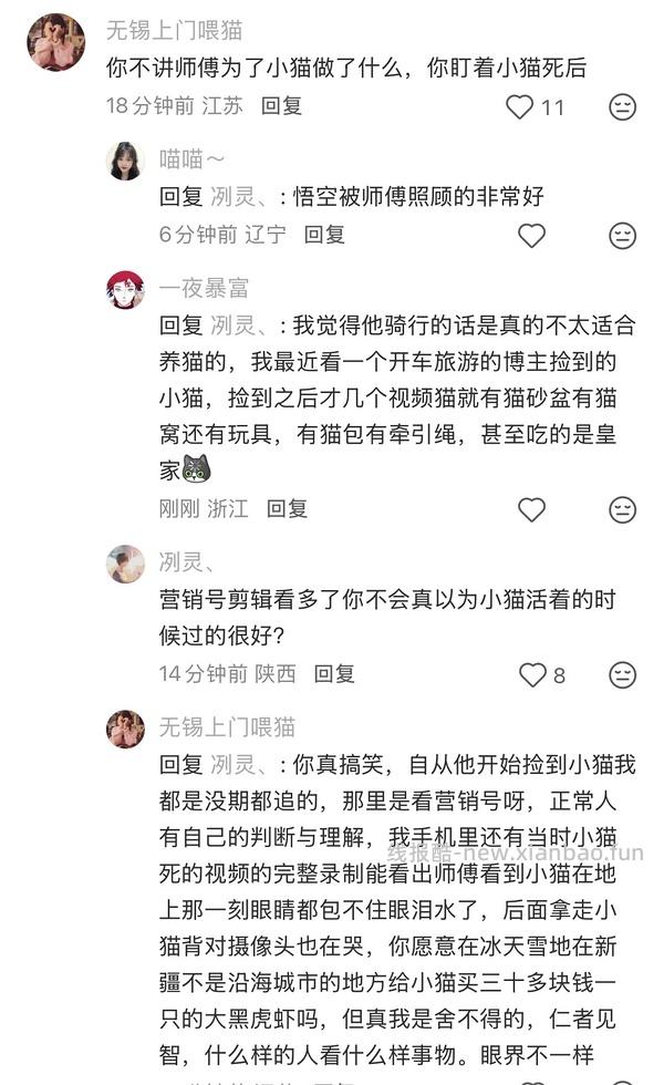 讨论/【科普】猫眼里看到的世界和猫并不想看的世界💁🏻请停止幻想，猫不需要这些 - 线报酷