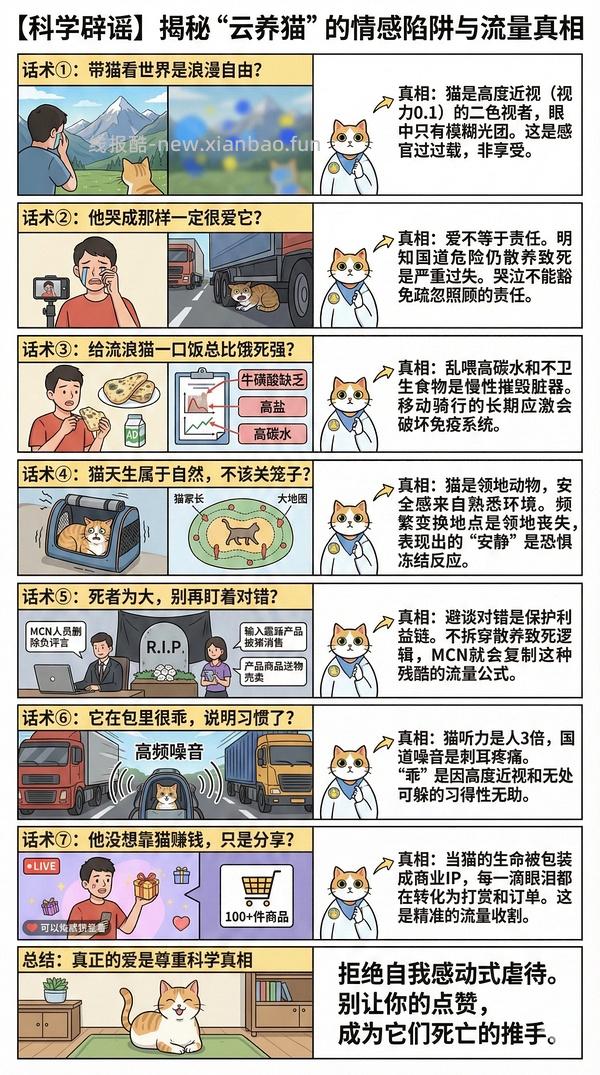 讨论/【科普】猫眼里看到的世界和猫并不想看的世界💁🏻请停止幻想，猫不需要这些 - 线报酷