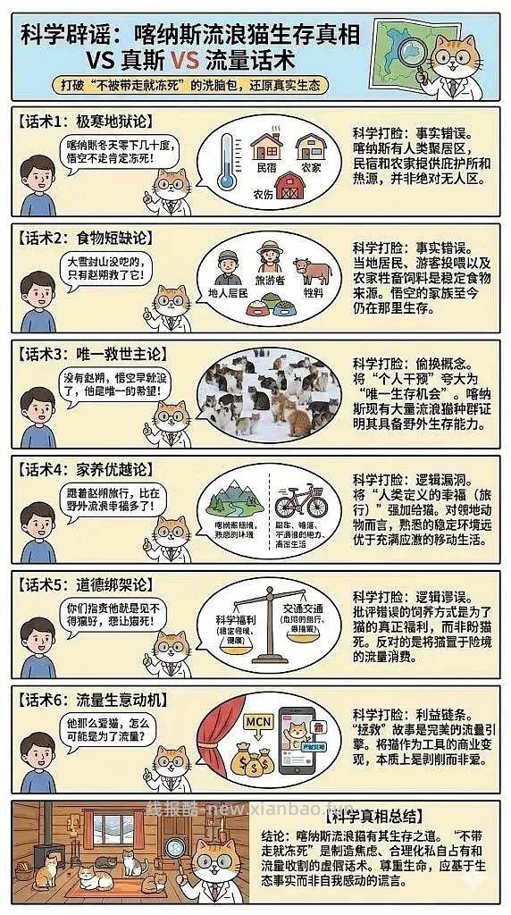 讨论/【科普】猫眼里看到的世界和猫并不想看的世界💁🏻请停止幻想，猫不需要这些 - 线报酷