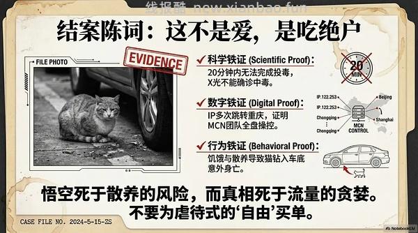 讨论/【科普】猫眼里看到的世界和猫并不想看的世界💁🏻请停止幻想，猫不需要这些 - 线报酷