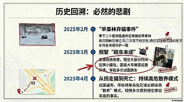 讨论/【科普】猫眼里看到的世界和猫并不想看的世界💁🏻请停止幻想，猫不需要这些 - 线报酷