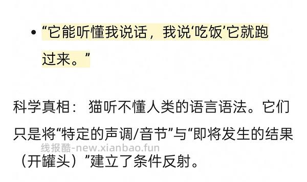 讨论/【科普】拟人化投射和科学指南 - 线报酷