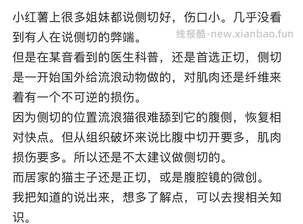 讨论/【科普】关于母猫绝育医院选择和注意点 - 线报酷