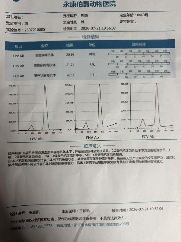 【科普】捡到一只小流浪怎么办！新猫到家干货省流贴！ - 线报酷