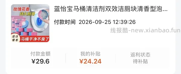 刷券 蓝怡宝马桶洁厕块蓝泡泡，3.3 40个 - 线报酷