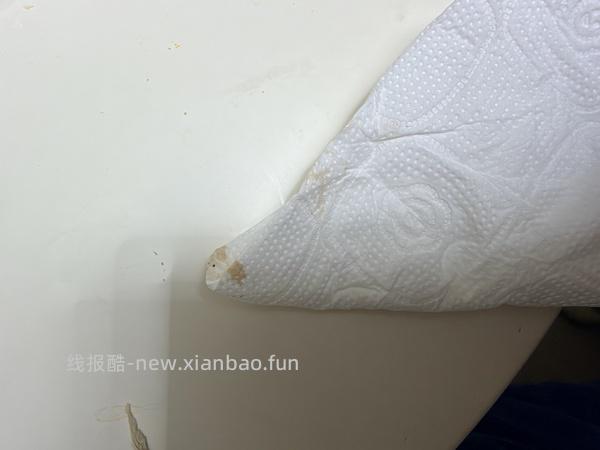 【科普】捡到一只小流浪怎么办！新猫到家干货省流贴！ - 线报酷