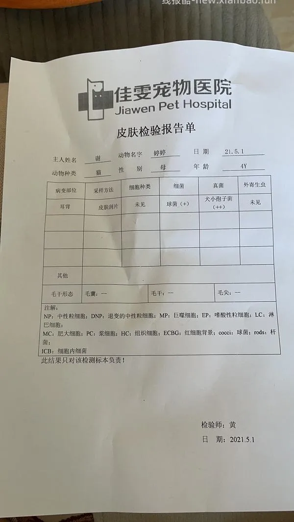 讨论/【科普】激情安利伊曲康唑治疗猫癣！！伊曲康唑真的伤肝吗？辟谣！！！ - 线报酷