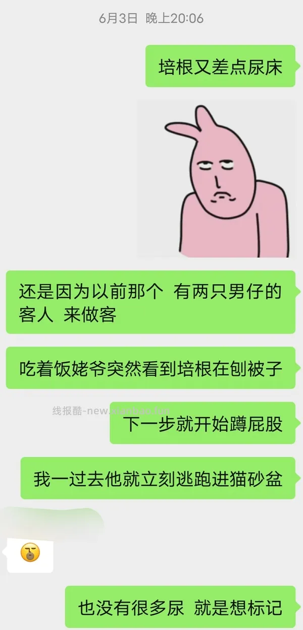 讨论/【科普】尿床？乱拉乱尿？分析猫乱排泄问题 - 线报酷