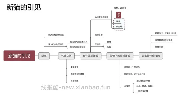 讨论/【科普】尿床？乱拉乱尿？分析猫乱排泄问题 - 线报酷