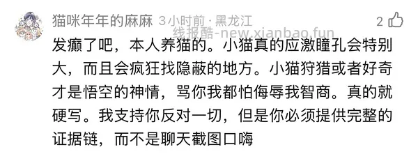 讨论/【科普】“可爱”照片背后的真相原来是这样的，关于猫咪应激需要知道的一些事 - 线报酷