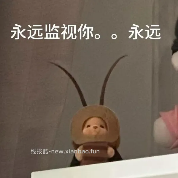 蓝威斯顿细薯条8-12块到手2kg - 线报酷