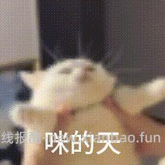 法米娜鸡肉南瓜石榴5kg 276 - 线报酷