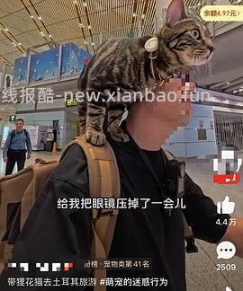 讨论/【科普】猫眼里看到的世界和猫并不想看的世界💁🏻请停止幻想，猫不需要这些 - 线报酷