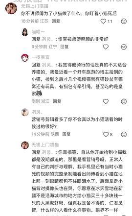 讨论/【科普】猫眼里看到的世界和猫并不想看的世界💁🏻请停止幻想，猫不需要这些 - 线报酷