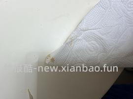 【科普】捡到一只小流浪怎么办！新猫到家干货省流贴！ - 线报酷