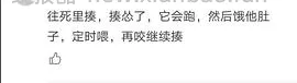 讨论/【科普】尿床？乱拉乱尿？分析猫乱排泄问题 - 线报酷