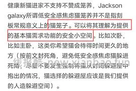 讨论/【科普】尿床？乱拉乱尿？分析猫乱排泄问题 - 线报酷