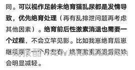 讨论/【科普】尿床？乱拉乱尿？分析猫乱排泄问题 - 线报酷