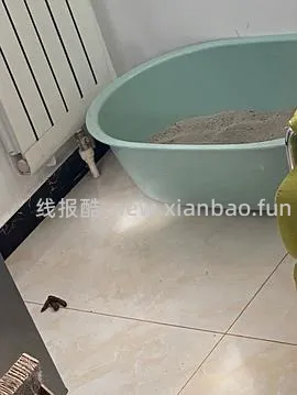 讨论/【科普】尿床？乱拉乱尿？分析猫乱排泄问题 - 线报酷